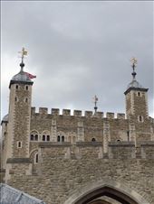 by eugenea, Views[130]