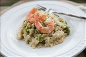 Asparagus Risotto with Pan-Seared Shrimp : by eugenekim, Views[342]