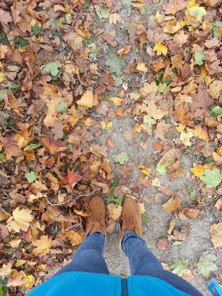 Before you know it, fall comes around the corners, throwing green, yellow and orange all over the place and blending them around as you yourself make a plunge into a new world as fall begins.  You continue to walk, and fall blows the leaves around as the days turn into golden orange and yellow.