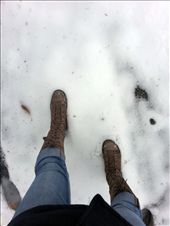 You lose to the cold and put on your boots.  Winter has taken over, and all you see is layers over layers of white.  You continue your trek through the seasons and enjoy the mist that forms as you breathe out.: by eukaraffe, Views[332]