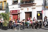 Guests, Tourists, as well as locals enjoy the friendly sunny weather in Seville during winter time. Since it has a subtropical climate, you can visit this city during winter season when the weather is not so hot.

Seville, like most Andalusian destinations, is known for its tapas. You can find a lot of tapas bars and  restaurants around the foot of the cathedral in the center of town. There are also available seats outside especially when the weather is nice. You can find time to relax and chit-chat while enjoying a cup of coffee and  a portion of tapas.: by euroangel, Views[1629]