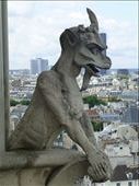 Gargoyles to ward he evil away - Notre Dame: by europe2013, Views[369]