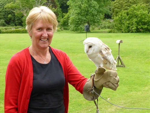 Me with a cute barn owl