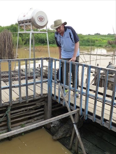 Ian and a croc