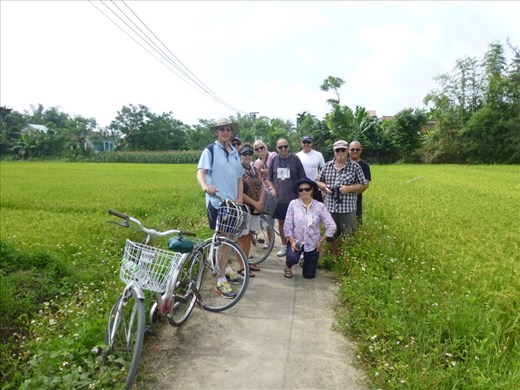 Bike riding in the rice paddies 