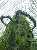 The Cloud Forest: by europe2013, Views[640]