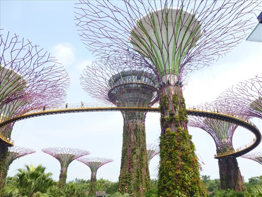 The SuperTrees and the SkyWalk