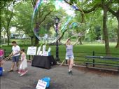 Bubbles in Central Park : by europe2013, Views[290]
