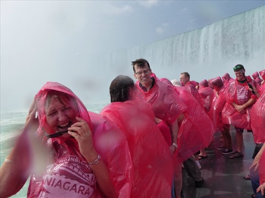 Misty - I think not!