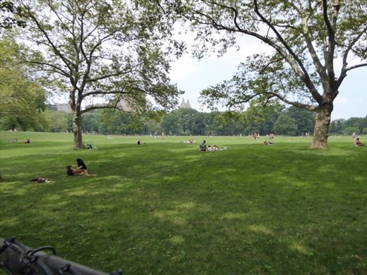 Sheep meadow Central Park 