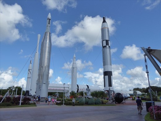 Rocket garden