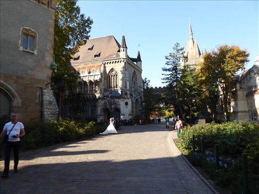 A bit sad to resort to this?