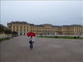 Schoenbrun Palace in the rain: by europe2013, Views[303]