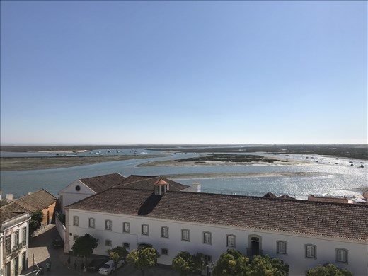 View from the cathedral tower