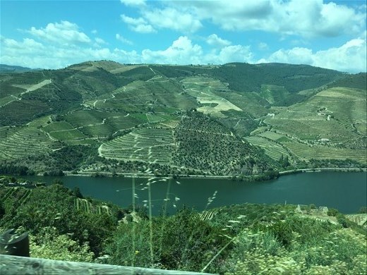 The Duoro valley