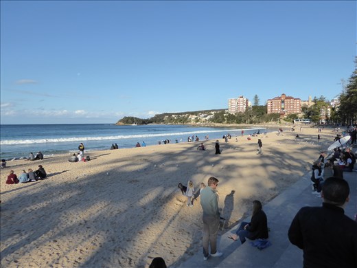 Manly beach