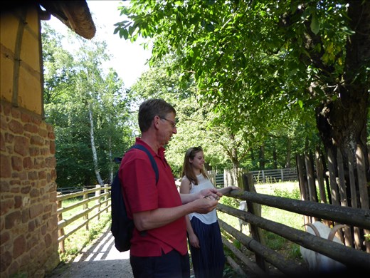 They found some friends :) 