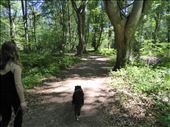 Walking in the forest with Kylie the dog: by europe2013, Views[894]