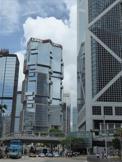 Koala hugging building