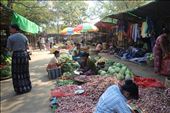 Bustling markets sell fruits, vegetables, and thanaka powder, a local herb.: by evalentine, Views[361]