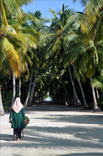 All the rubbish is carried to be burnt at an uninhabited end of the island. 