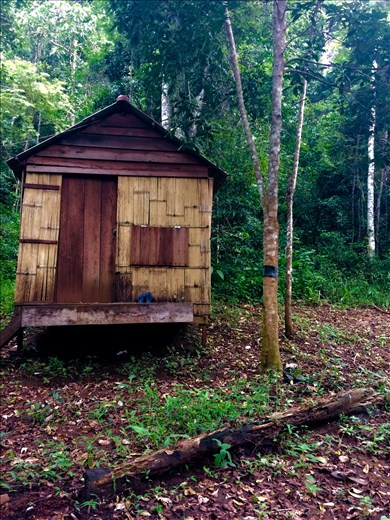 My hut at the volunteer camp! Small but cozy and has everything you really need. (: 