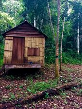 My hut at the volunteer camp! Small but cozy and has everything you really need. (: : by evatheintern, Views[578]