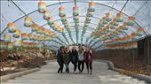 Palgongsan Temple, Daegu: by eve2290, Views[598]