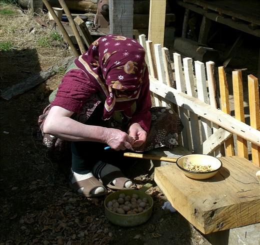 Fatime cracks walnuts in her yard. These will be packaged and set aside for her children and grandchildren when they come to visit from other countries. Fatime's generation are accustomed to lives of hard and consistent work.