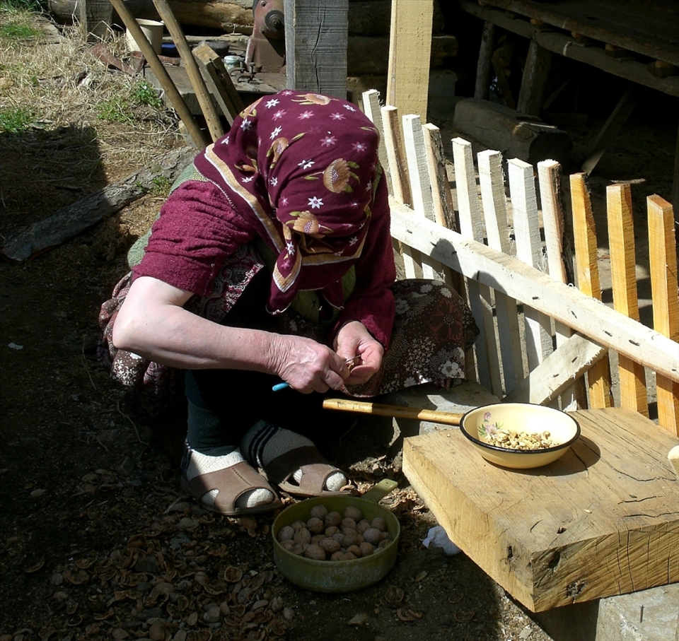 Fatime cracks walnuts in her yard. These will be packaged and set aside for her children and grandchildren when they come to visit from other countries. Fatime's generation are accustomed to lives of hard and consistent work.