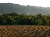 The isolated village of Konce nestled at the foot of the mountains in South Eastern Macedonia. Most of the land in the surrounding areas is used for farming and crops.: by evolution, Views[452]