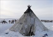 The entrance to the family tent: a wooden pole structure covered in reindeer fur: by evolution, Views[1228]