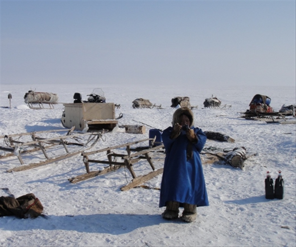 The youngest Nenet, Ulya, working out how to use a digital camera.