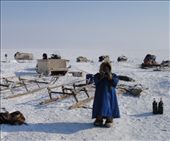 The youngest Nenet, Ulya, working out how to use a digital camera.: by evolution, Views[453]