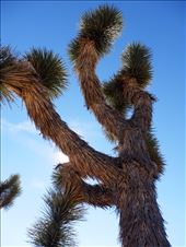 by excellentadventure, Views[231]