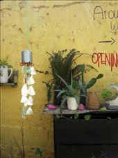 by excellentadventure, Views[412]