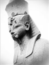 by excellentadventure, Views[453]