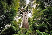 by excellentadventure, Views[715]