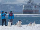 Yankee Harbour - South Shetland Islands: by expedition, Views[371]
