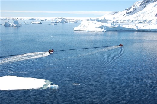 The Lemaire Channel, can you spot the Penguin?