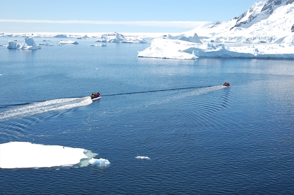 The Lemaire Channel, can you spot the Penguin?