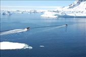The Lemaire Channel, can you spot the Penguin?: by expedition, Views[227]
