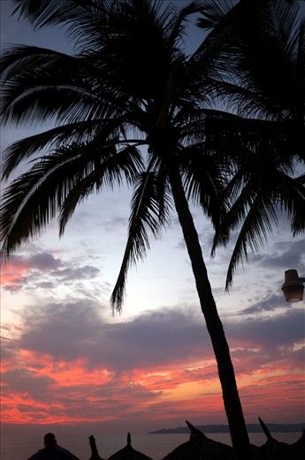 Not too far from Maria's cozy home in the woods is the beautiful beach shore of Bucerias.  Here is a sight accustomed to most Mexicans for it is sunny about 280 to 310 days a year.  Most people here retire to this scene after a hard days work.