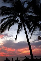 Not too far from Maria's cozy home in the woods is the beautiful beach shore of Bucerias.  Here is a sight accustomed to most Mexicans for it is sunny about 280 to 310 days a year.  Most people here retire to this scene after a hard days work.: by exploration, Views[296]