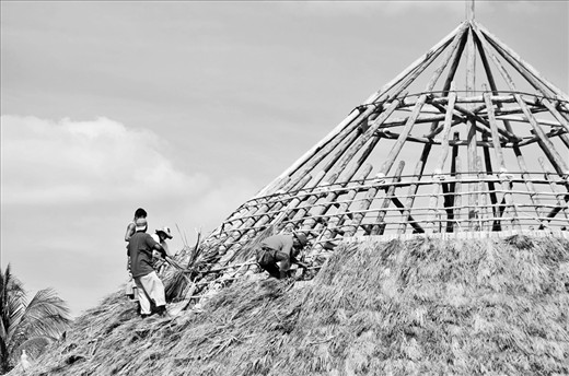 These courageous men work from dawn till late past dusk to erect by hand a roof made from heavy lumber and straw.  These men work from such heights with no safety harness or life lines, However they get to enjoy work under clear blue skies. 