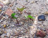 by explorerdotgone, Views[216]