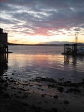 Tofino: by explorerdotgone, Views[356]