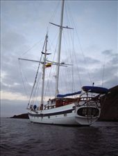 by explorerdotgone, Views[219]