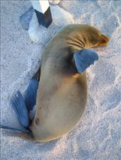 by explorerdotgone, Views[185]