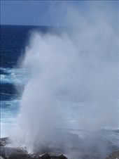 by explorerdotgone, Views[182]